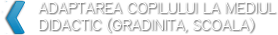 Adaptarea copiilor la mediul didactic